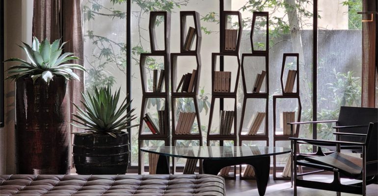 Pots and Pines: Elevating Every Space with Complete Elegance and Nature’s Touch