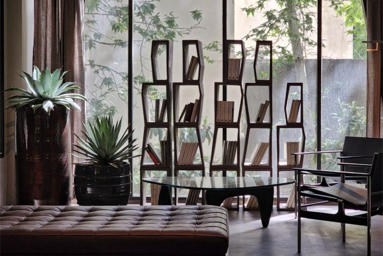 Pots and Pines: Elevating Every Space with Complete Elegance and Nature’s Touch